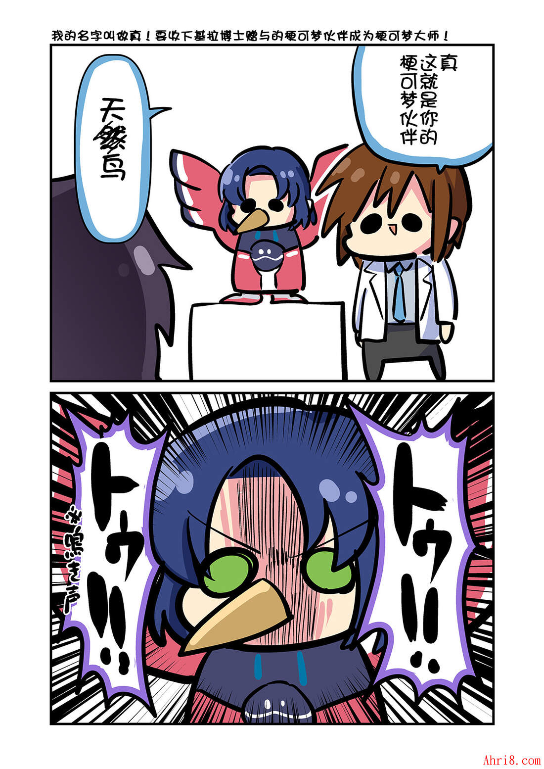 17