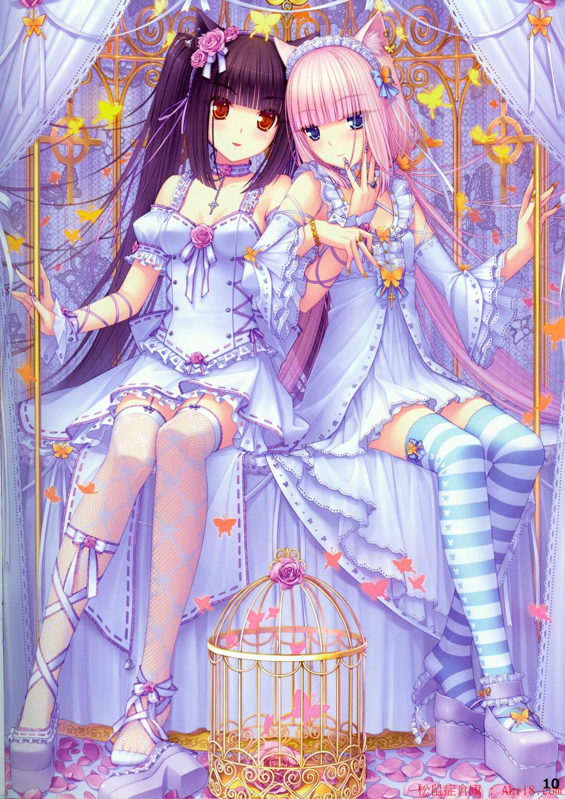 11